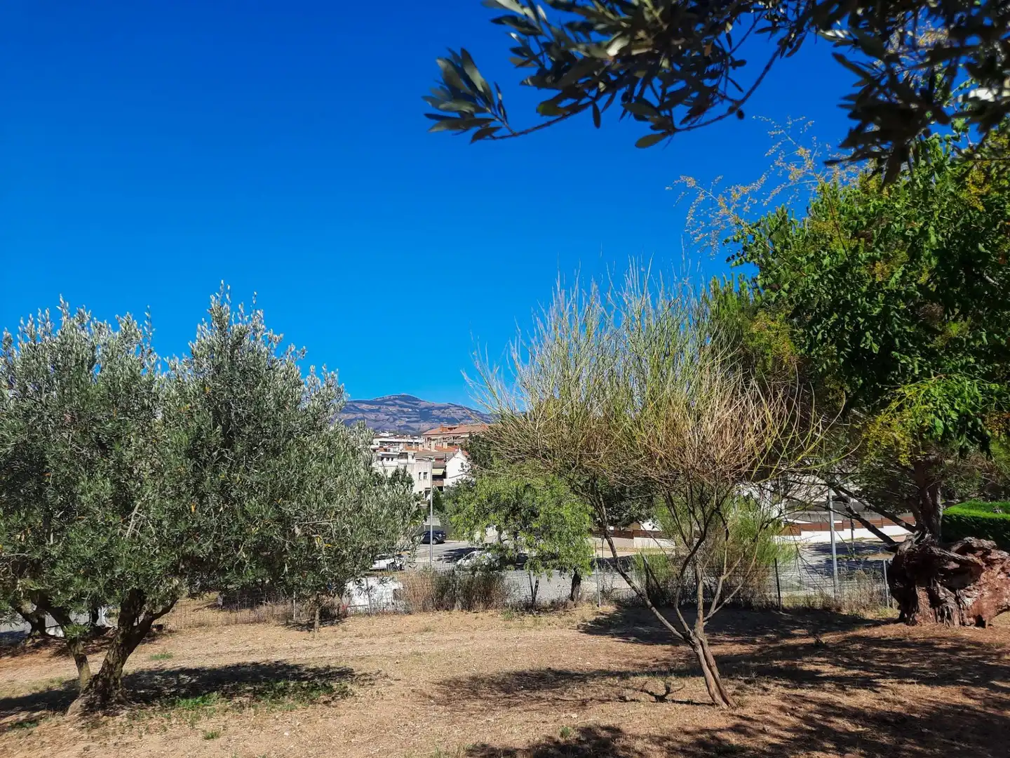 Terreno residencial en venta en Carrer Carrer del Cirerer 13, imagen 3