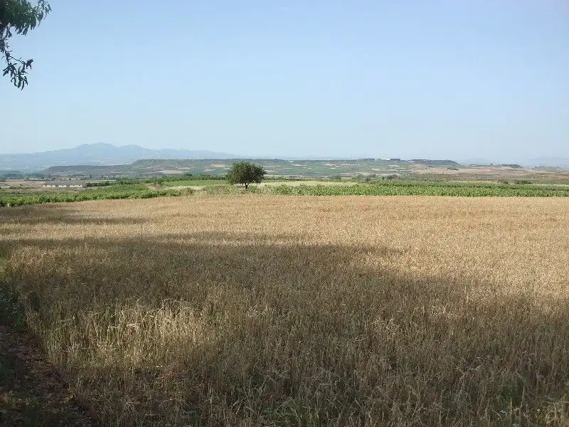 Terrenys i solars en venda a Alberite, imagen 6