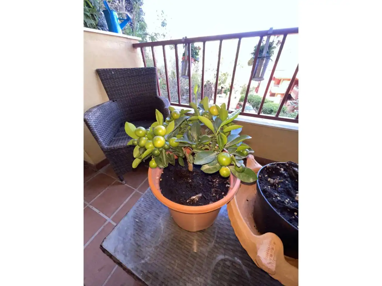 Terraza de Piso en venta en Marbella con Aire acondicionado, Calefacción y Terraza