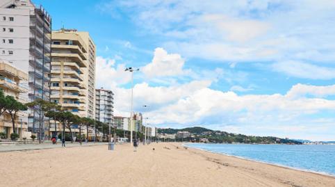 Foto 3 de Terreny industrial en venda a Fenals, Castell d'Aro, Platja d'Aro i s'Agaró