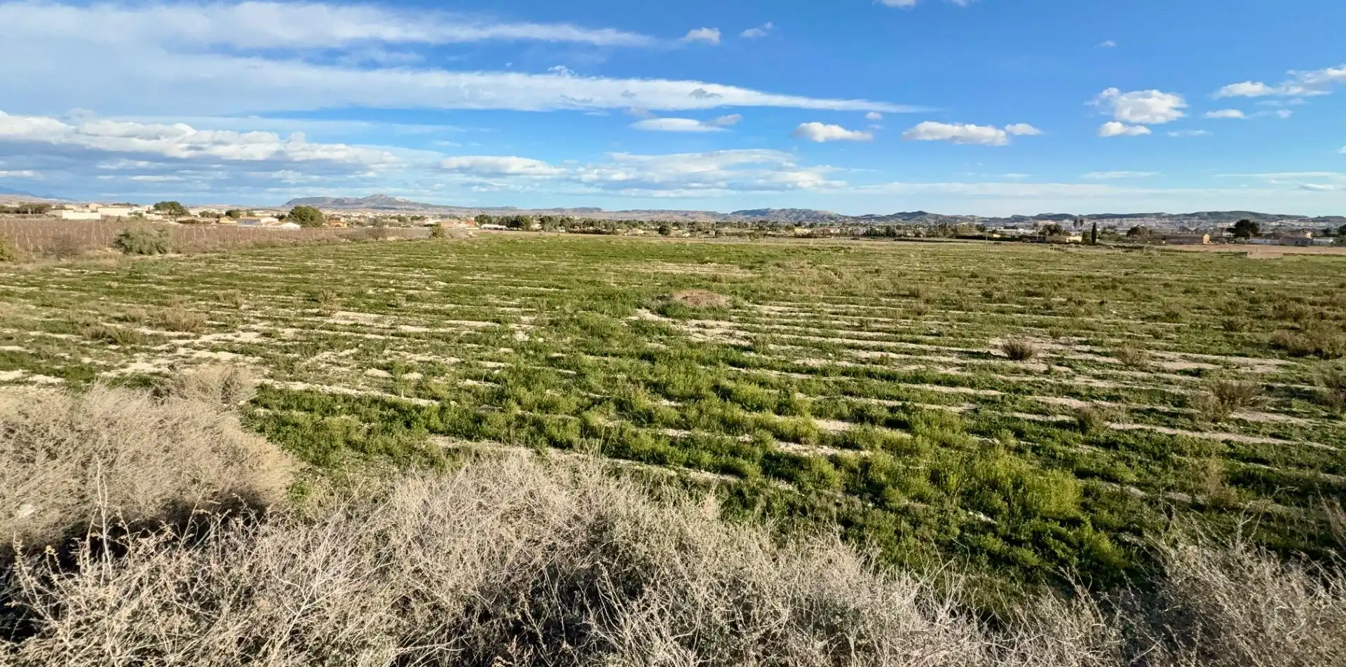 Rural land for sale in Novelda