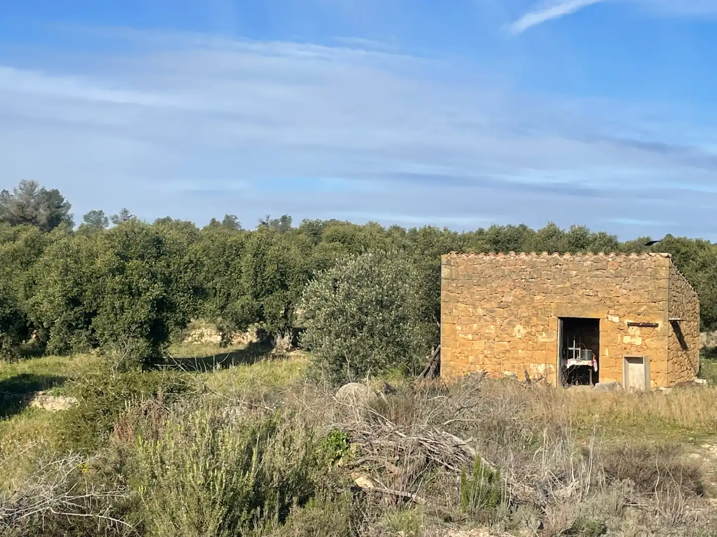 Rural land for sale in Cervià de Les Garrigues, imagen 4