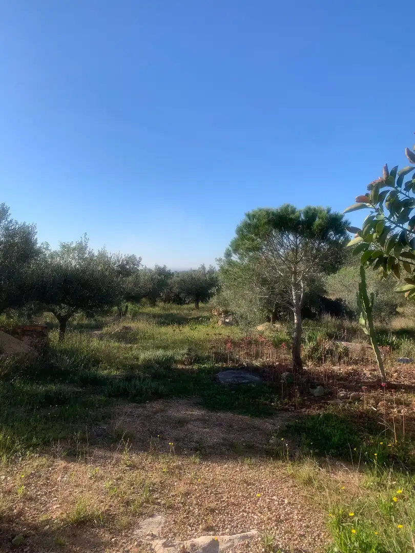 Finca rústica en venda en Camarles