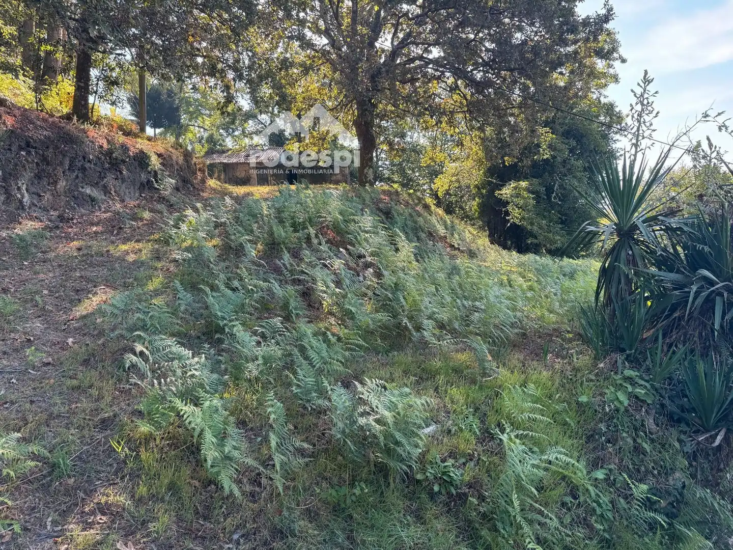 Casa o chalet en venta en Ponteareas