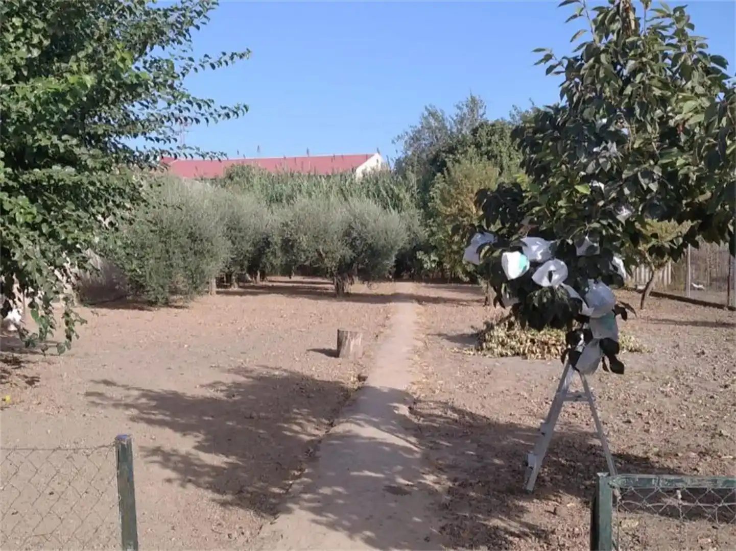 Finca rústica en venda en Almodóvar del Río amb Aire condicionat i Piscina
