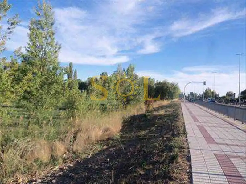 Terreni e lotti in vendita a El Ejido- Santa Ana, imagen 9