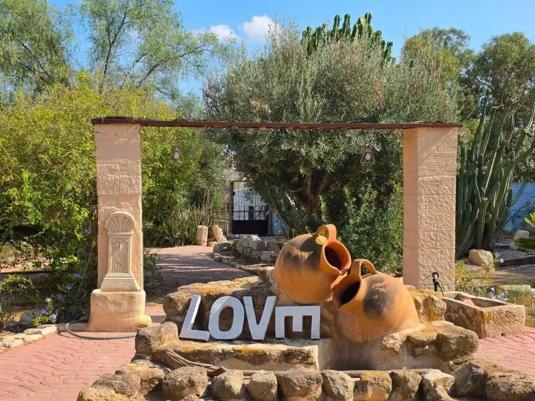 House with pool for sale in Elche ciudad, imagen 6