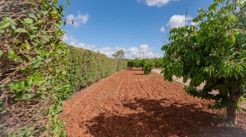 Foto 2 de Casa o chalet en venta en Villanueva del Rosario, Málaga