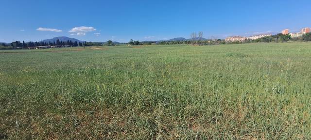 Terreno en Alquiler en Camí Mas Canals, 189 en La Roureda