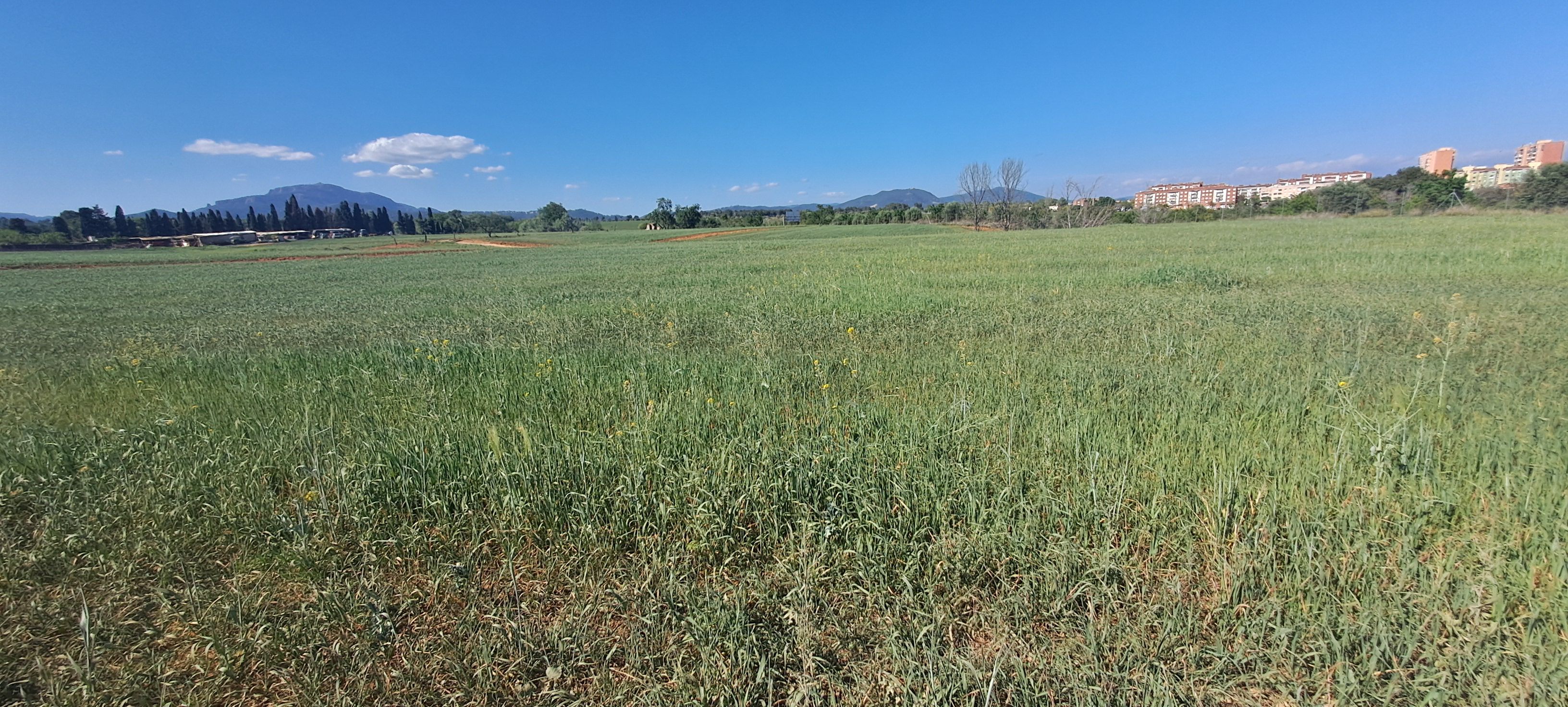 Grundstücke zur Miete in Sabadell