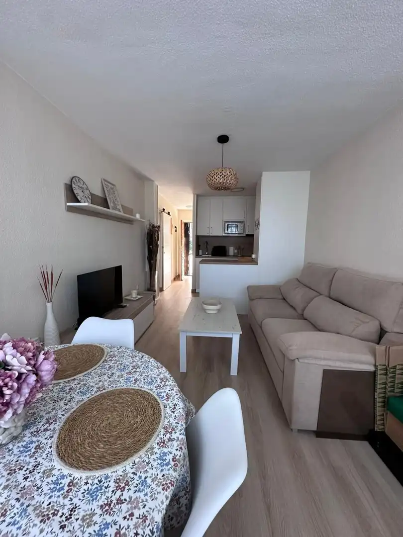 Flat for rent in de Holanda, Mil Palmeras