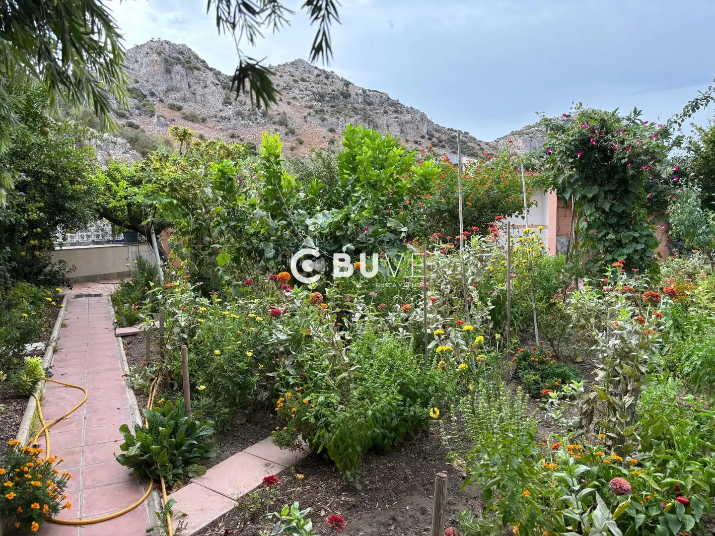Jardí de Casa o xalet en venda en Cuevas del Becerro amb Aire condicionat, Calefacció i Jardí privat