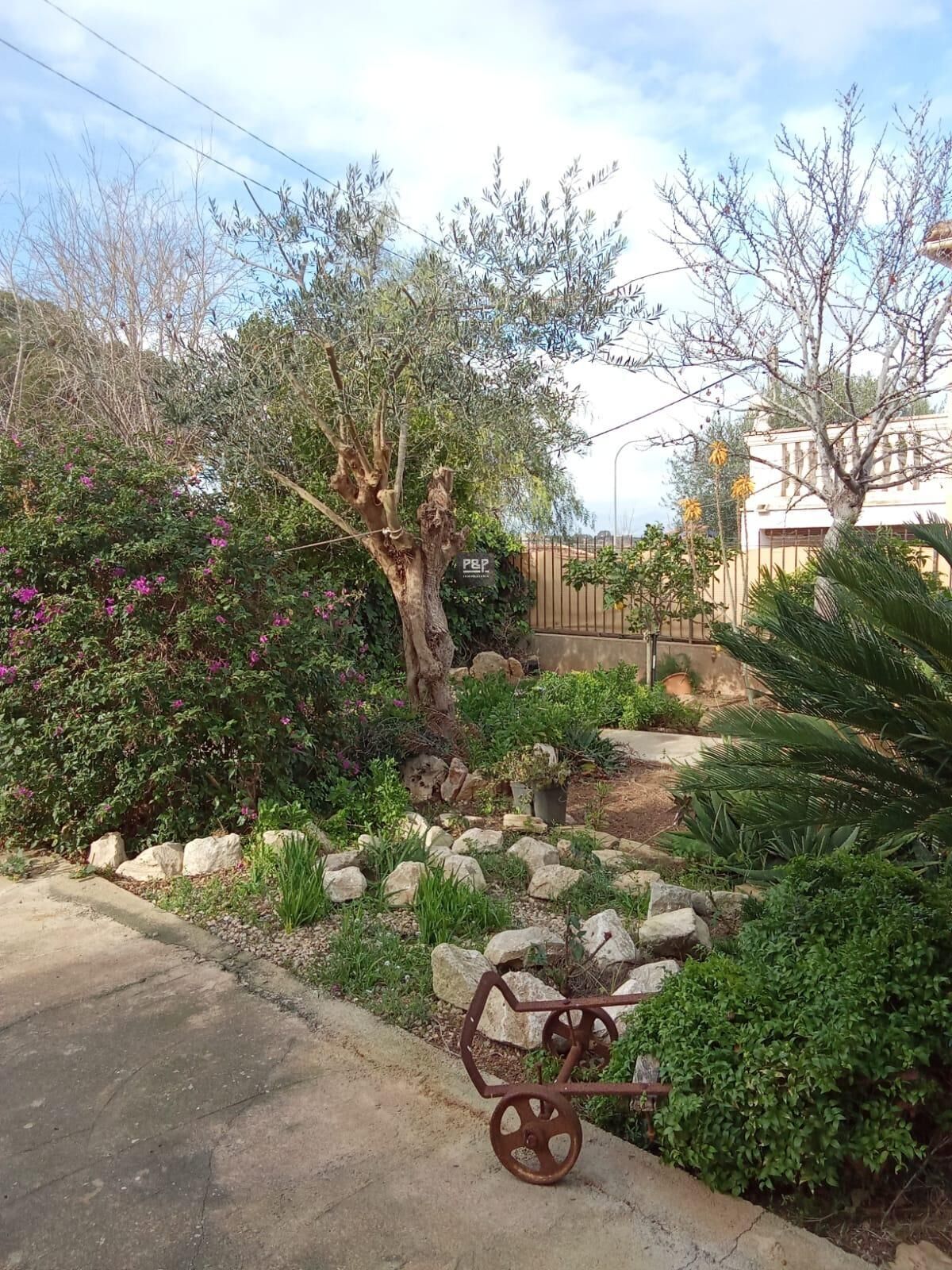 Jardí de Casa o xalet en venda en  Palma de Mallorca amb Aire condicionat, Calefacció i Terrassa