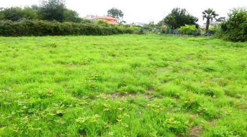 SE VENDEN DOS FINCAS EN OLEIROS CENTRO, UNA URBANIZABLE Y OTRA RUSTICA., imatge 3