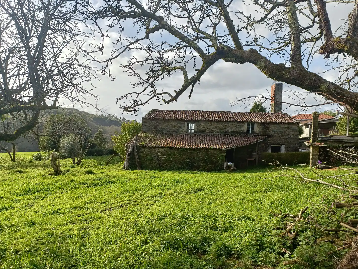 Vista exterior de Casa o xalet en venda en Cesuras amb Jardí privat