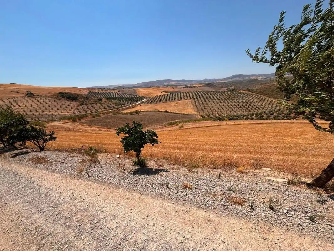 Vista exterior de Finca rústica en venda en El Saucejo amb Aire condicionat, Calefacció i Moblat