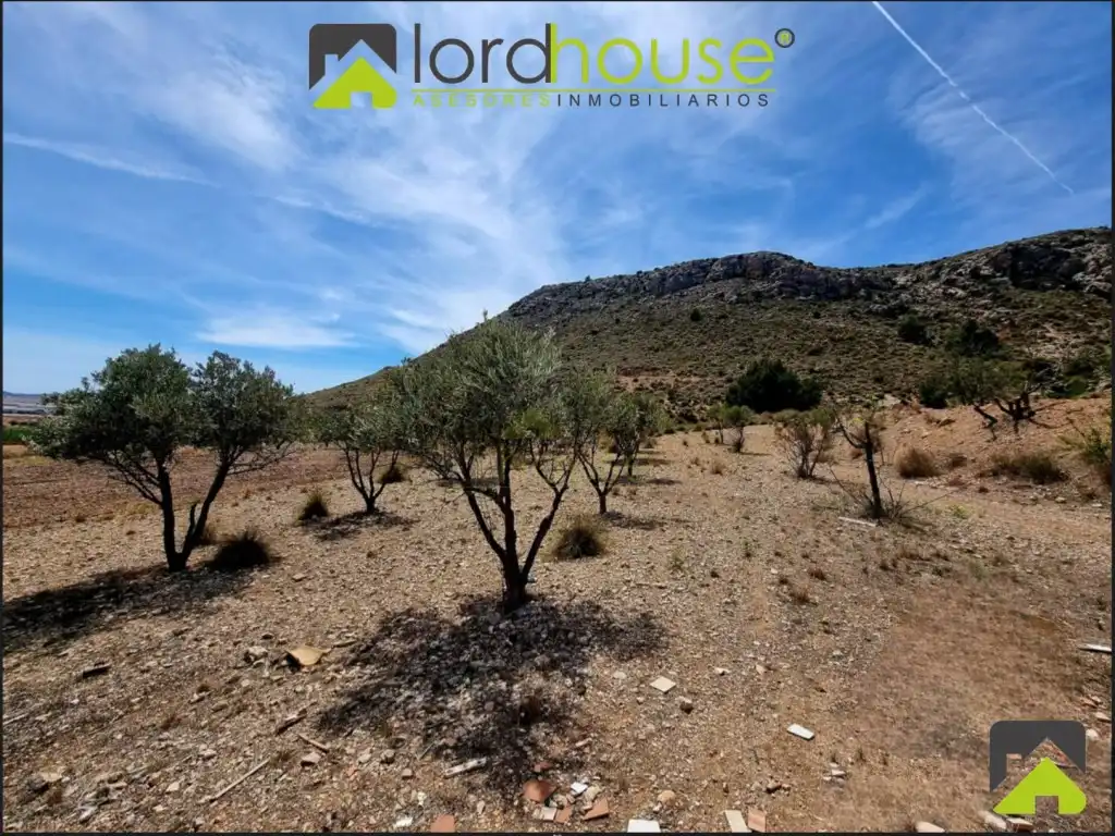 Casa en venda a Carretera Rincon, Del (Zarcilla Ramos), imagen 25