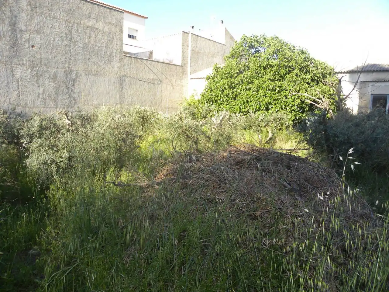 Industriegebäude zum Verkauf in Caravaca de la Cruz, imagen 13