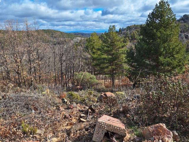 Terreno residencial en Venta en Urbanización el Ciervo, 72 en Bronchales