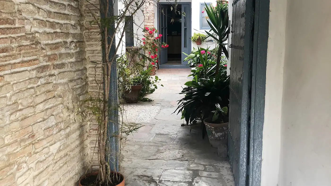 Home for sale in Calle Jerez, imagen 10