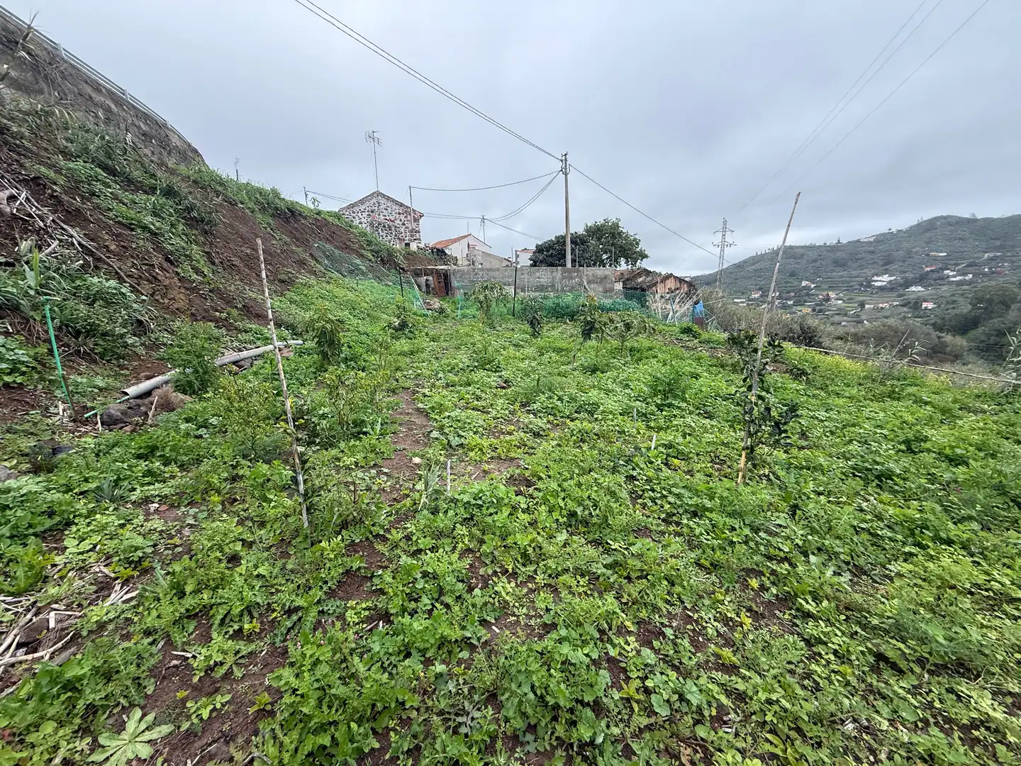 Finca rústica en venta en El Álamo - Arbejales