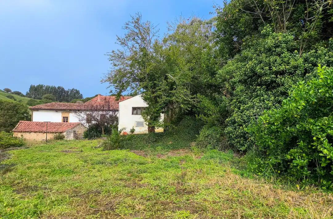 Detached homes for sale in Alfoz de Lloredo