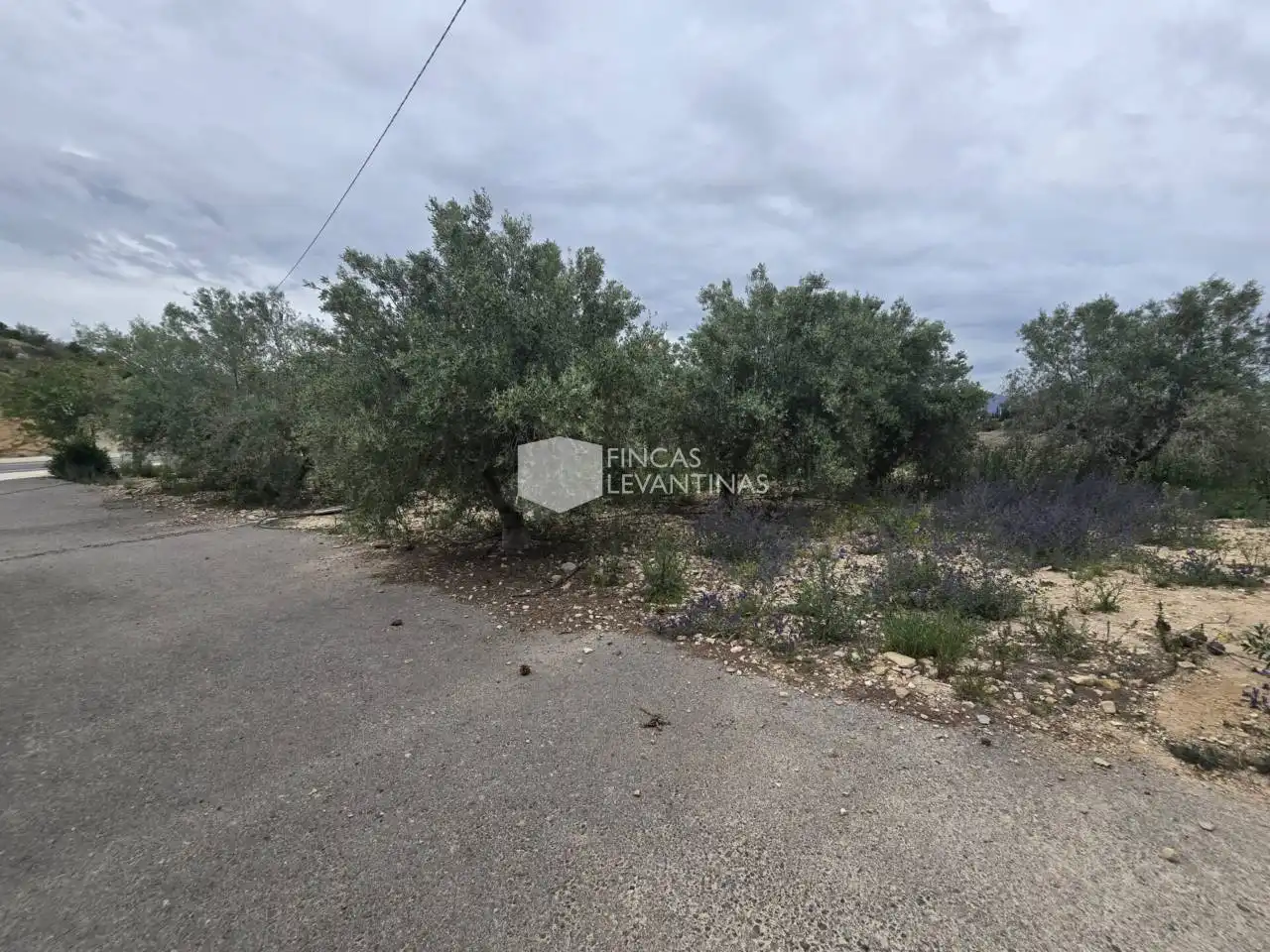 Casa o chalet en venta en Novelda con Terraza y Piscina