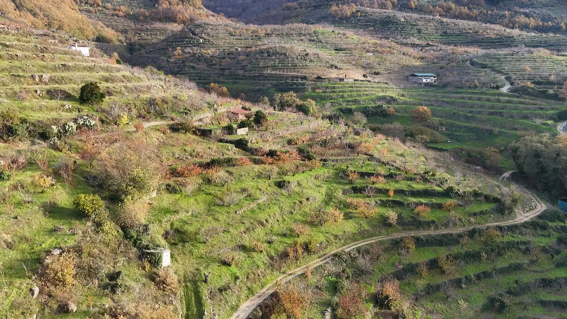 Terreni e lotti in vendita a Navaconcejo, imagen 2