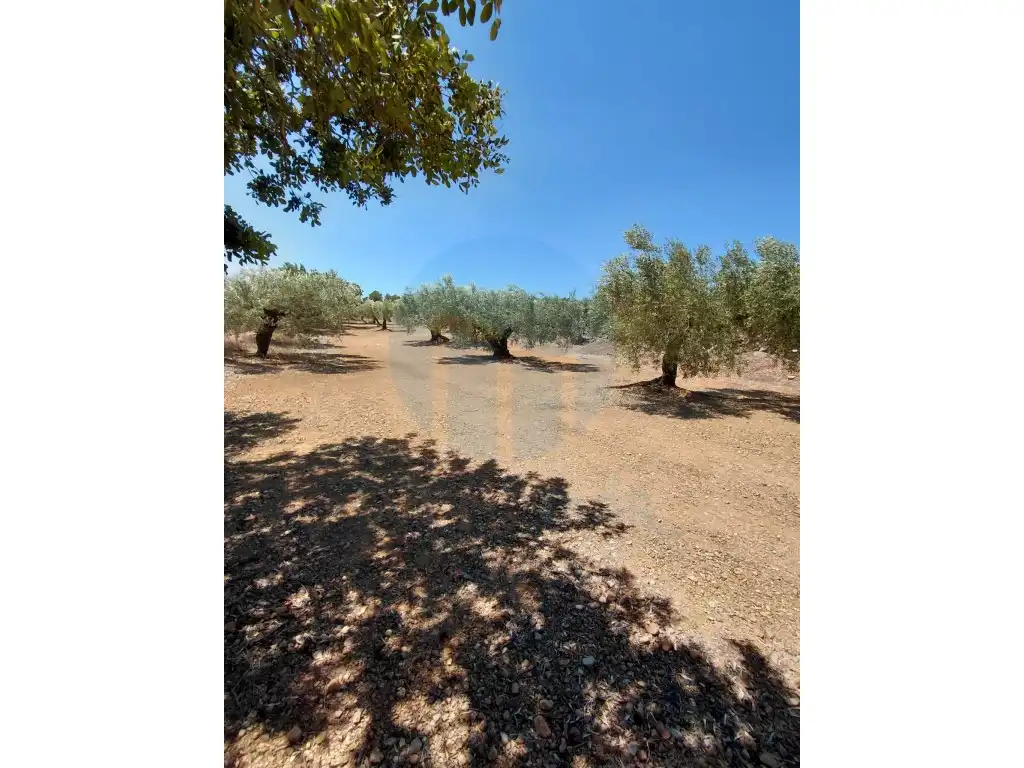 Casa rústica en venta en El Perelló, imagen 10
