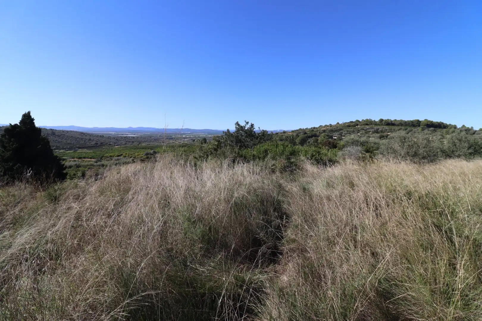 Grundstücke zum Verkauf in Ulldecona