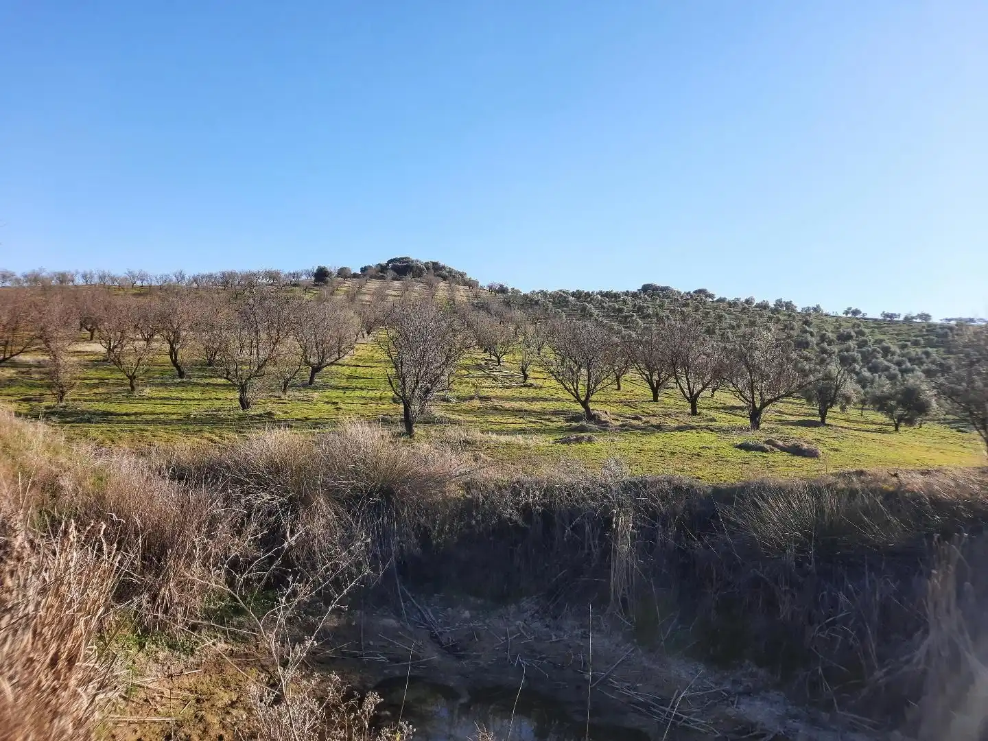 Terreno residencial en venta en Jauja, imagen 9