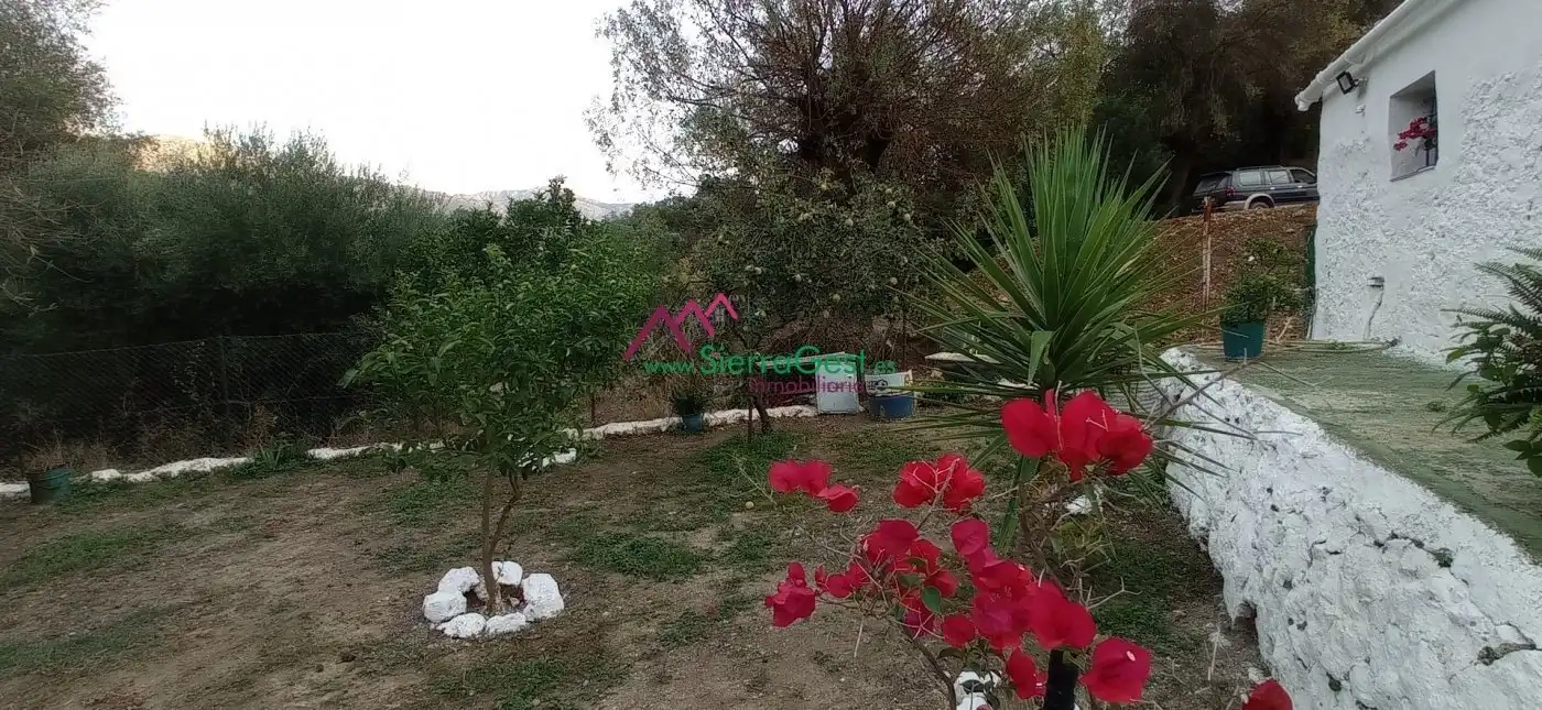 Terreni e lotti in vendita a Benaocaz, imagen 44