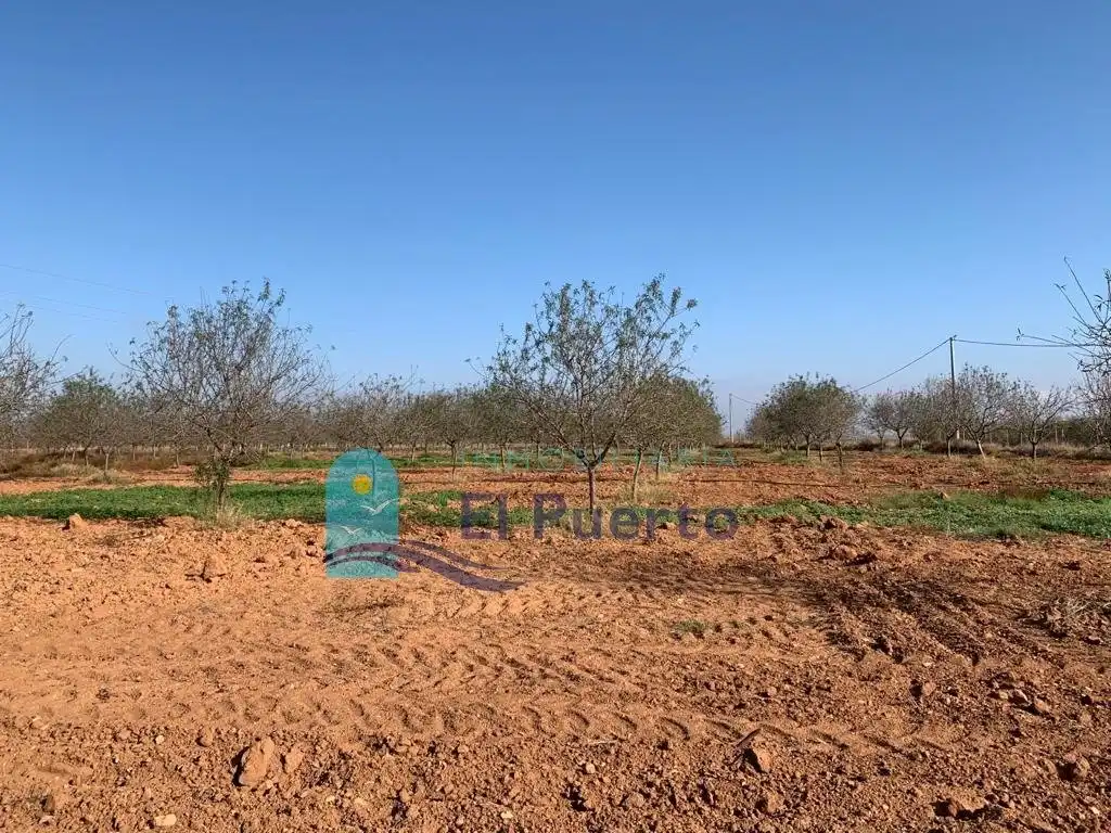Terreno rústico en venta en Pedanías Oeste, imagen 12