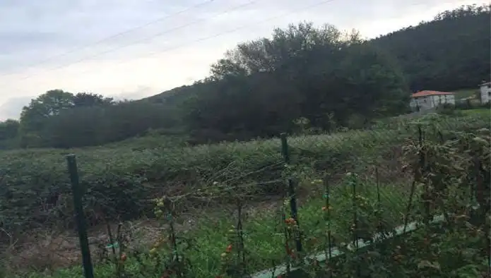 Terreni e lotti in vendita a Ptda Arriba-Centro, imagen 6