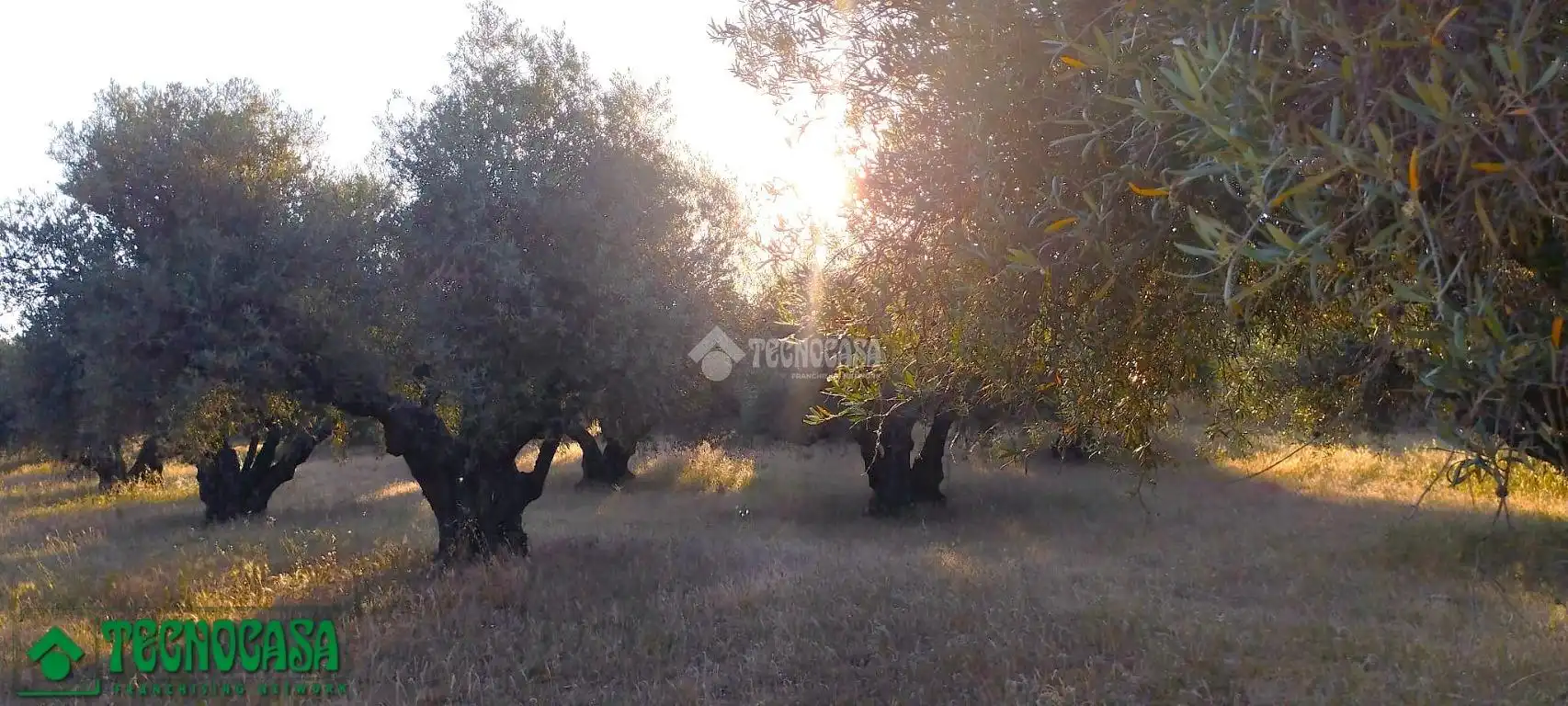 Terreni e lotti in vendita a Méntrida, imagen 21