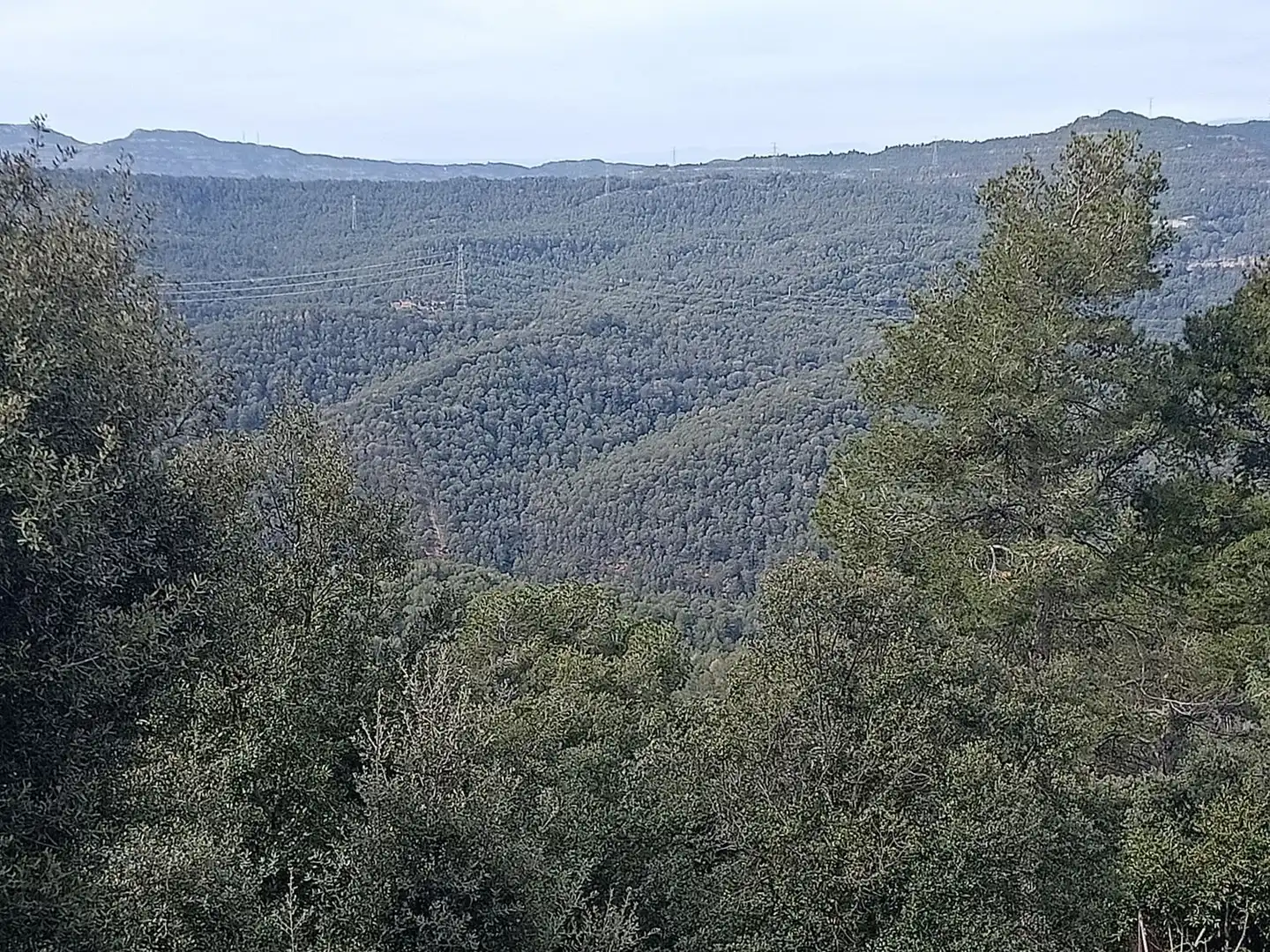 Terrenos y solares en venta en de l'espigol 12, imagen 3