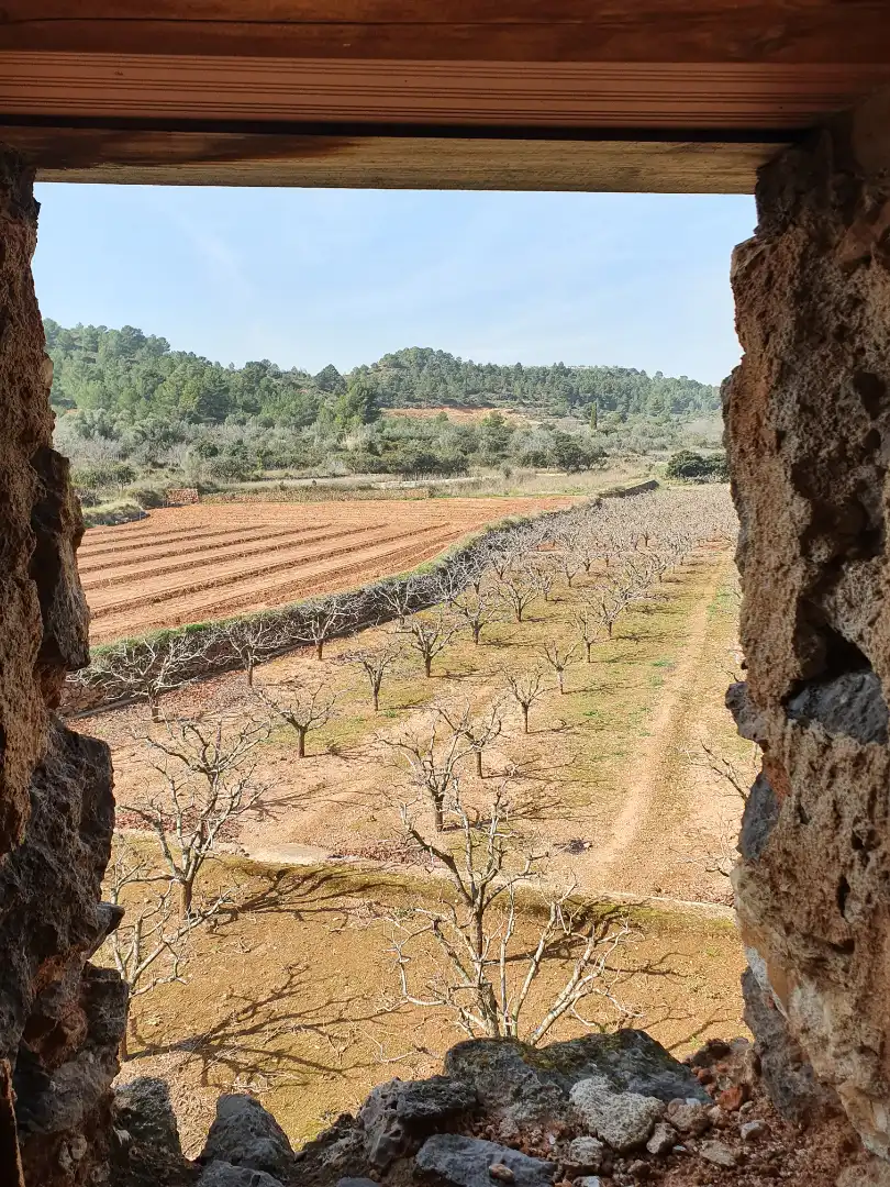Terreno rustico in vendita a Segorbe, imagen 9