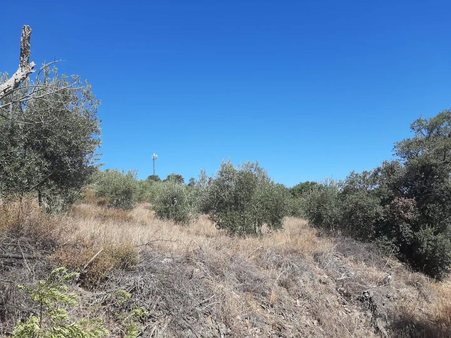 Terreni e lotti in vendita a Sierra de Fuentes, imagen 12