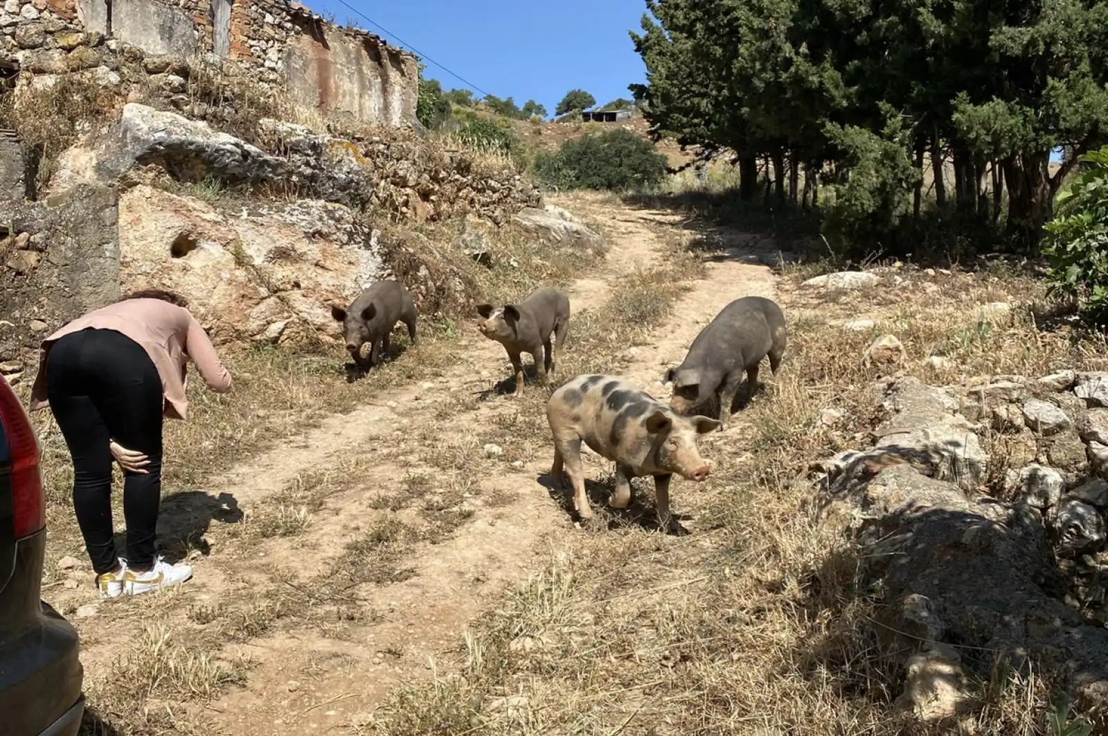 Terreni e lotti in vendita a huerto franco, imagen 25