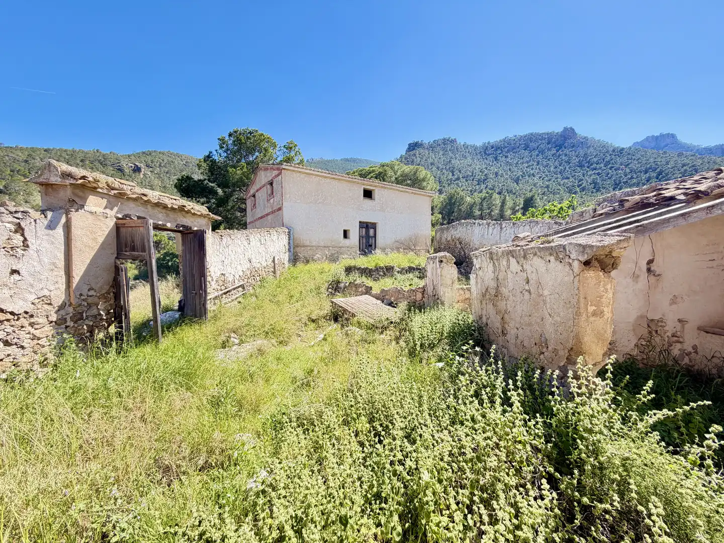 Terrain rustique à vendre à Cieza, imagen 3