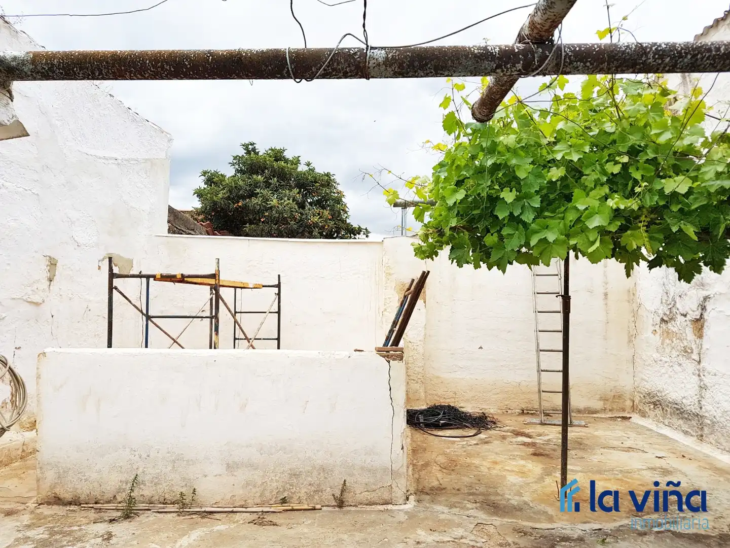 Jardí de Casa o xalet en venda en Antequera