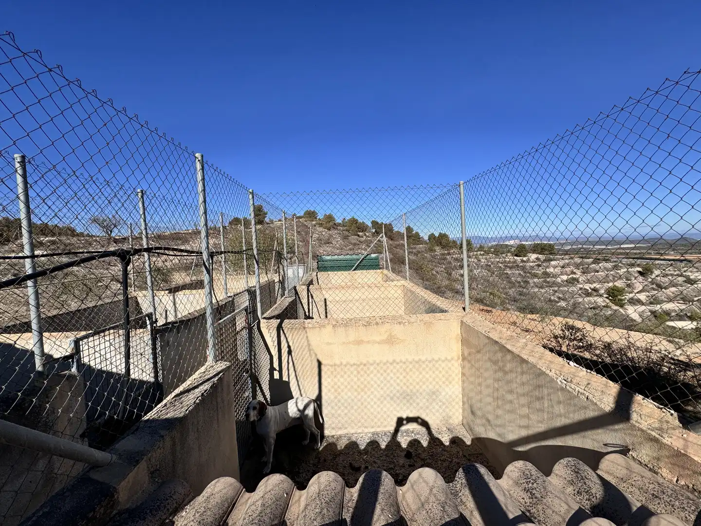 Vista exterior de Casa o chalet en venta en Bullas con Aire acondicionado, Calefacción y Jardín privado