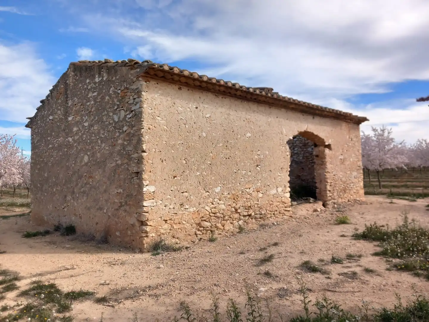 Vista exterior de Terreno en venta en Vila-rodona