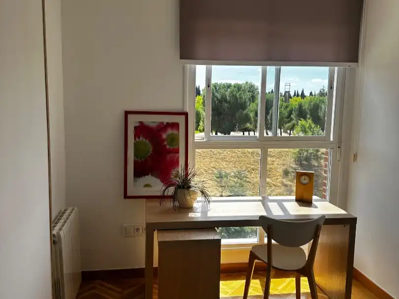 Casa in affitto a Calle del Concejal Francisco José Jiménez Martín 1, imagen 11