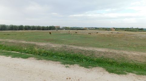 PARCELA RUSTICA EN LAS ARENAS, imagen 4