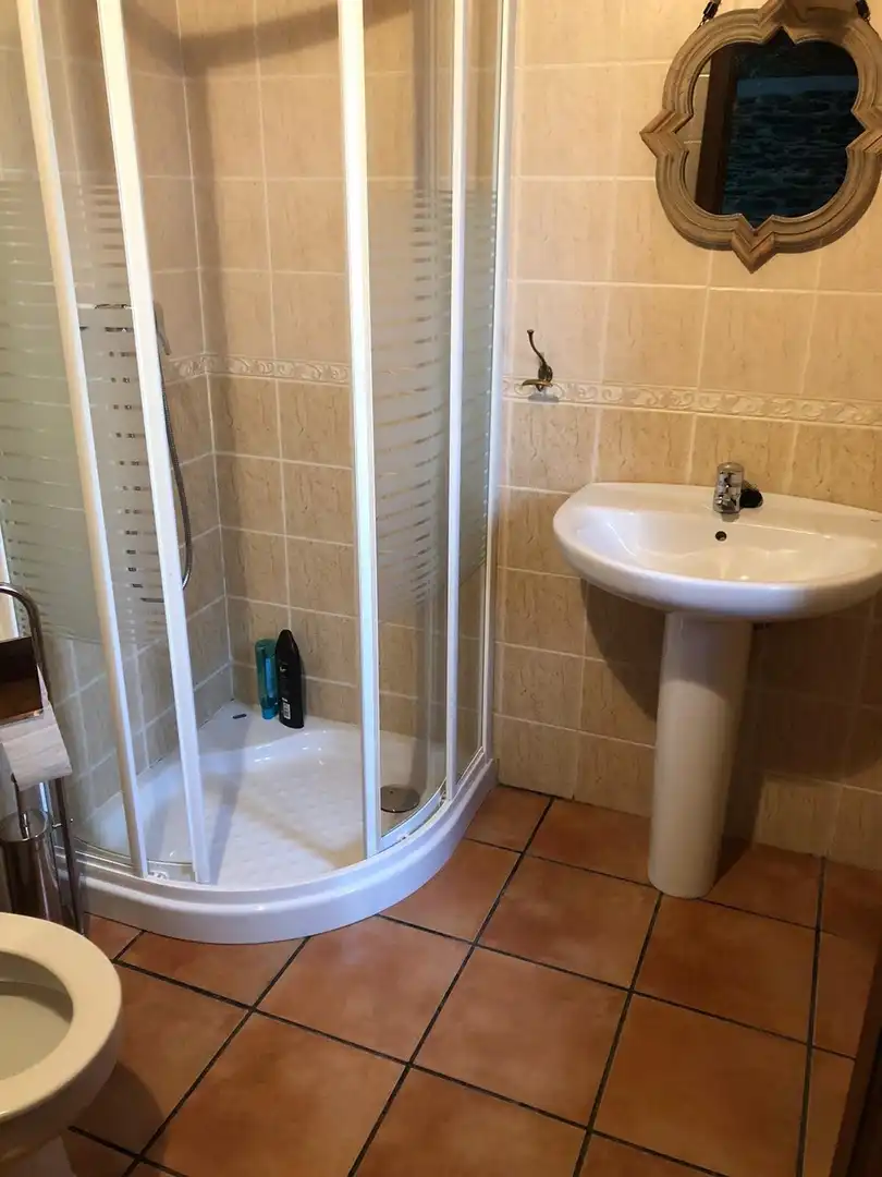 Bathroom of Houses for sale in Cubillos del Sil  with Terrace and Furnished