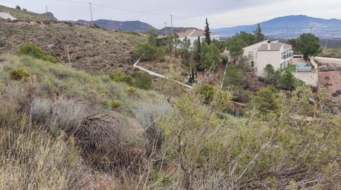 Parcelas en Montisol  Aledo Murcia, immagine 2