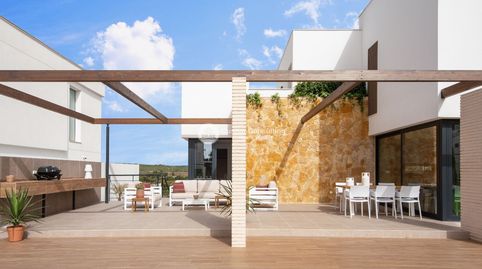 en Dehesa De Campoamor, imatge 4