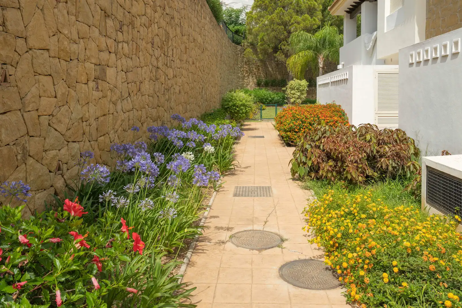 Jardí de Casa adosada en venda en Mijas amb Terrassa