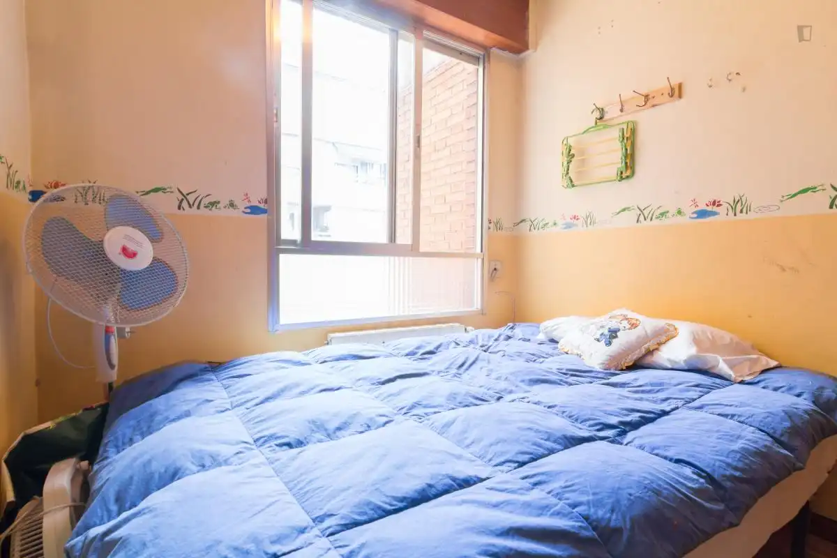 Room in Universidad